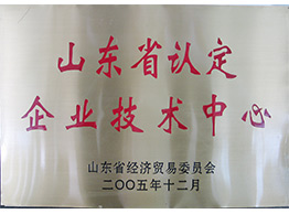 山東省認定企業(yè)技術中心2005